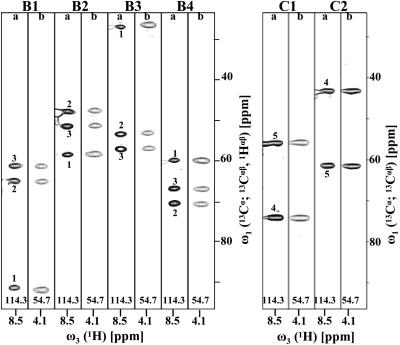 Fig. 3.