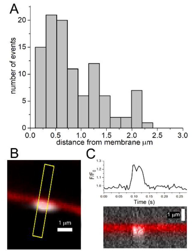 Fig. 6