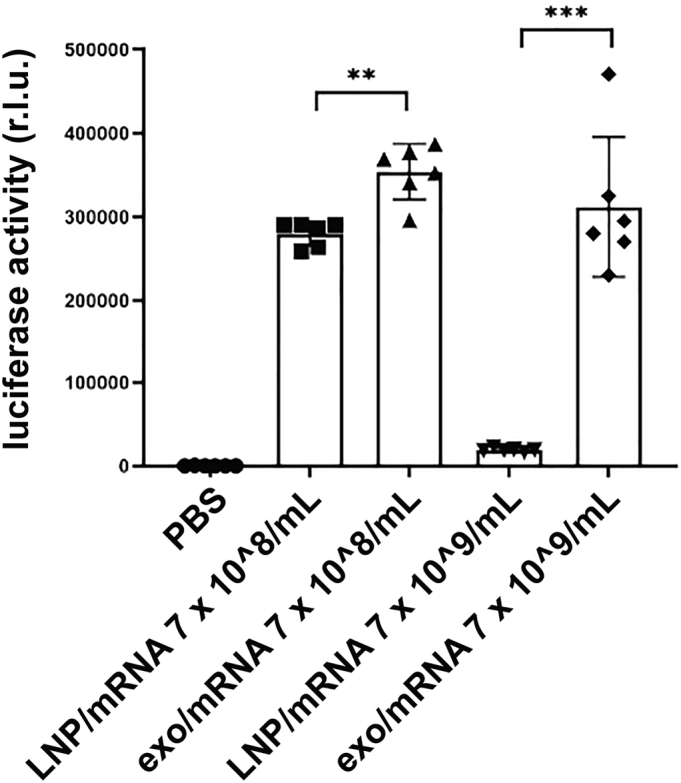 Figure 5