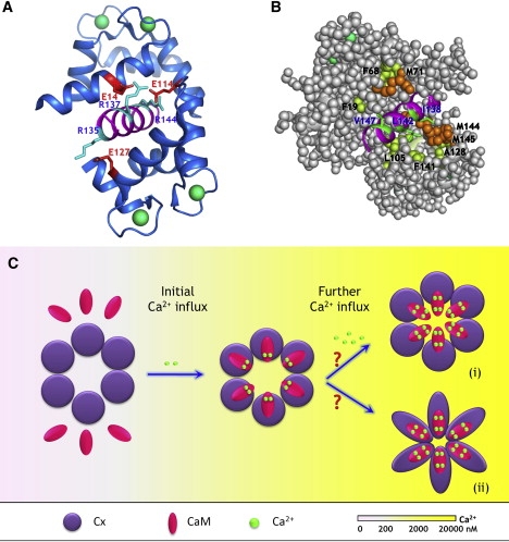 Figure 13