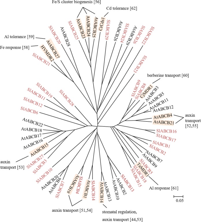 Fig 3