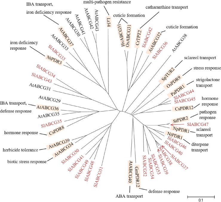 Fig 6