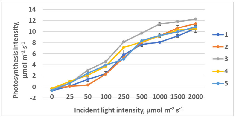 Figure 12