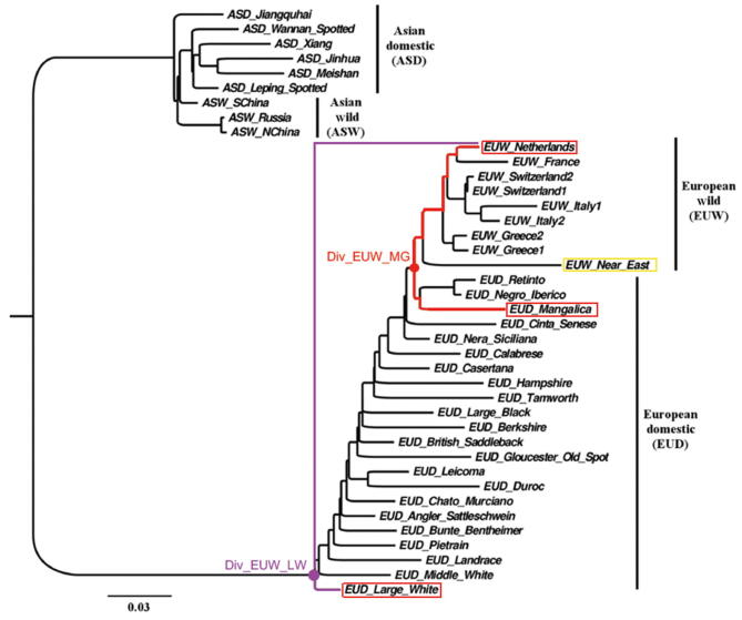 Supplementary Figure S7