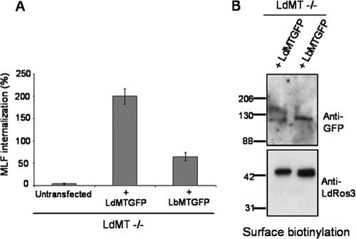 FIG. 4.