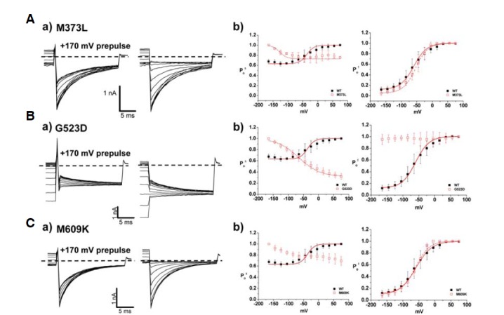 Fig. 8.