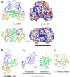 Fig. 1.