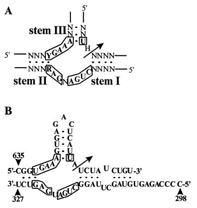 FIG. 3