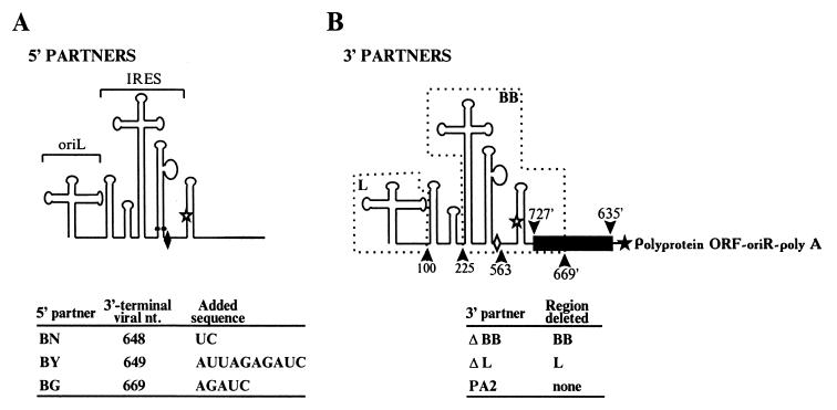FIG. 1