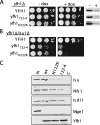 FIGURE 7.