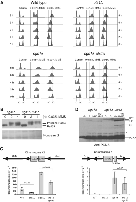 Figure 5.