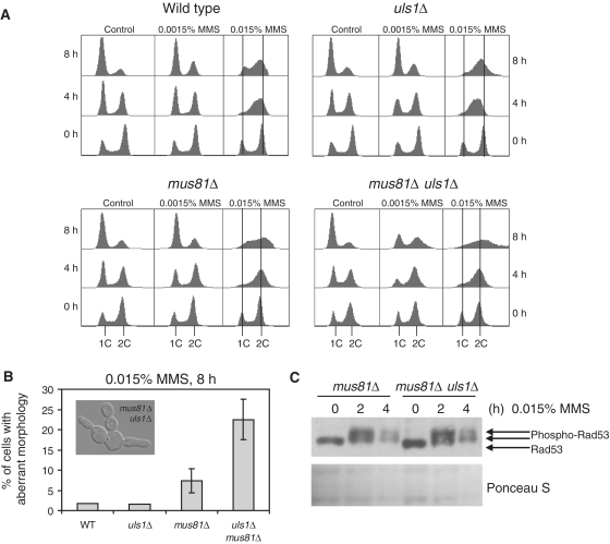 Figure 4.