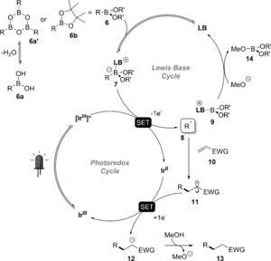 Scheme 6