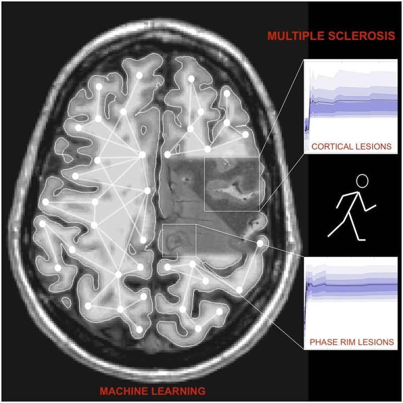 Graphical Abstract