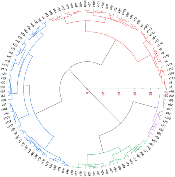 Figure 7