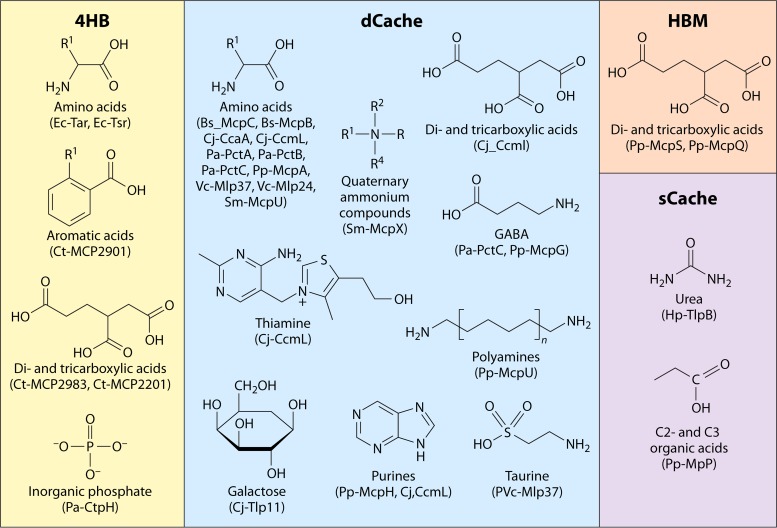 FIG 6