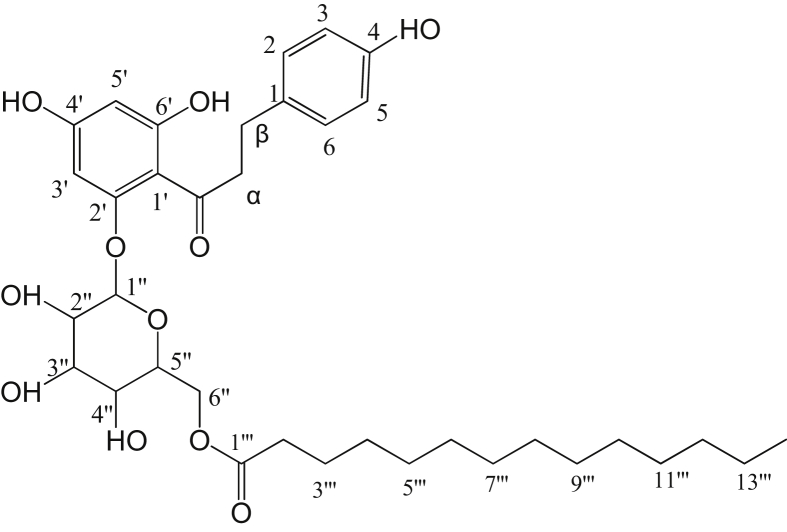 Fig. 2