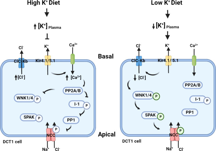 Figure 3