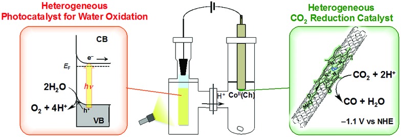 Fig. 14