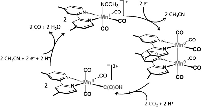 Scheme 6