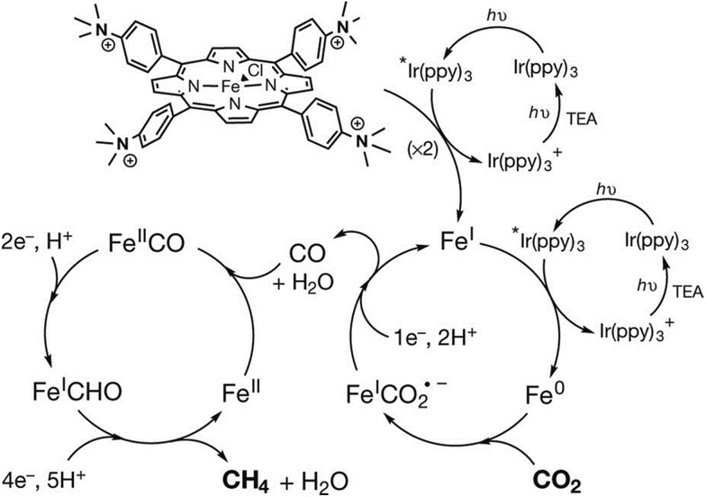 Scheme 14