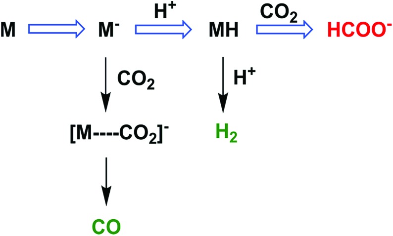 Scheme 7