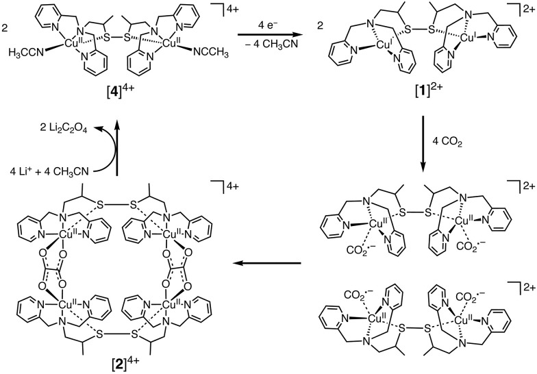 Scheme 1