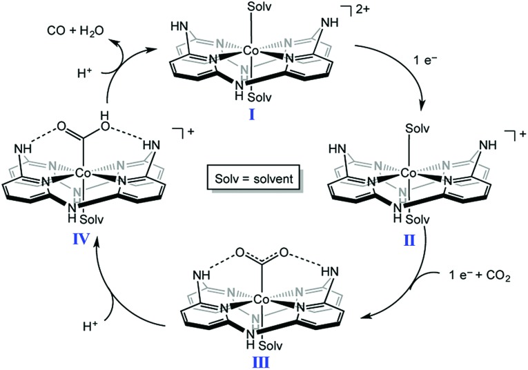 Scheme 5