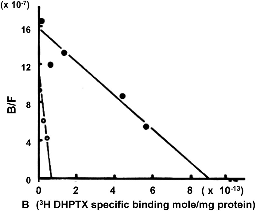 Fig. 11. Scatchard plot analysis of [3H]α-dihydropicrotoxinin binding to the brain membrane preparation from two German cockroach strains: the Dieldrin susceptible CSMA strain (●) and the resistant LPP strain (○). Bmax receptor number (mole/mg protein) was CSMA, 9.0×10−13; LPP, 7.1×10−14. The dissociation constant Kd (M) was CSMA, 5.8×10−7; LPP, 6.45×10−8. Data are expressed as means of two independent experiments, each experiment involving three determinations.