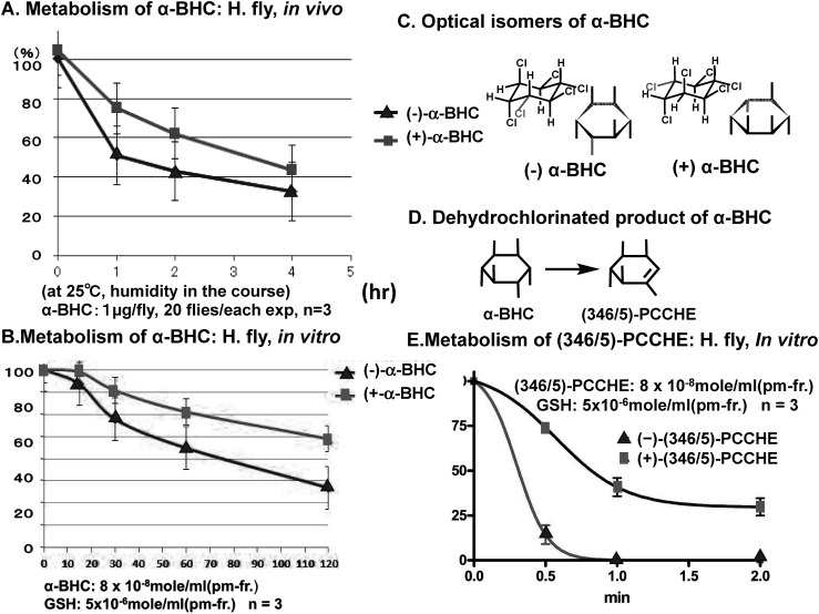 Fig. 10. In vivo and in vitro metabolism of enantiomers of α-BHC and in vitro metabolism of enantiomers of (346/5)-PCCHE.