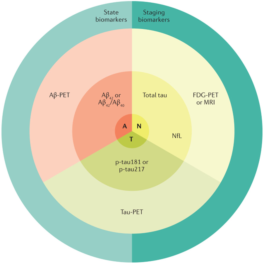 Fig. 6 ∣