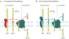 Fig. 2 ∣