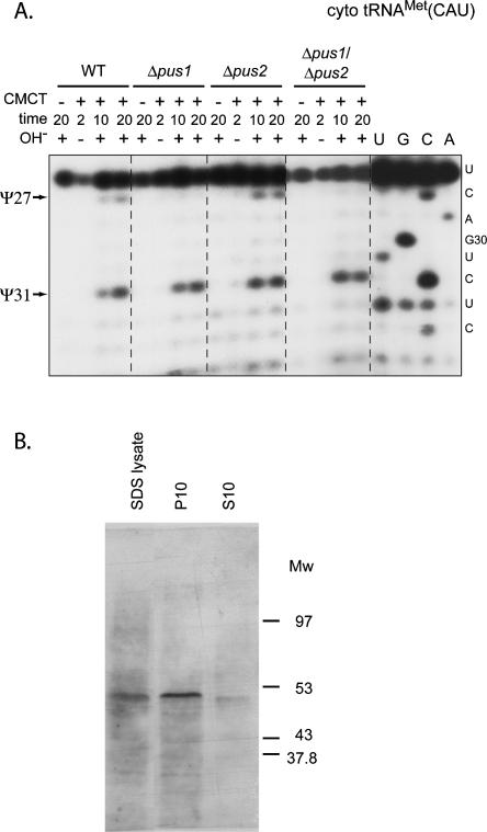 FIGURE 4.