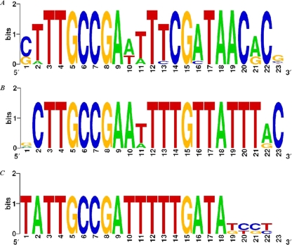 FIG. 3.