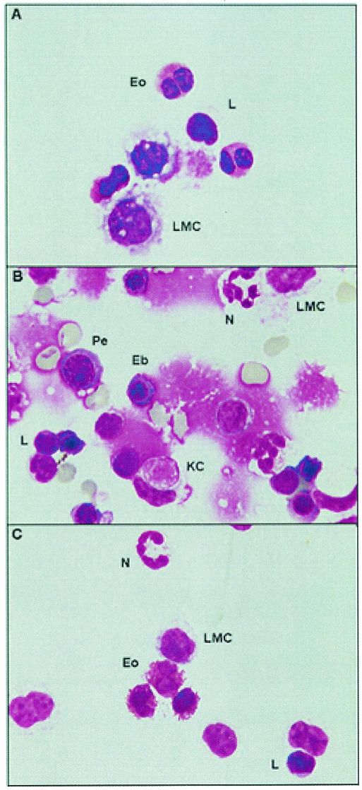 FIG. 1.