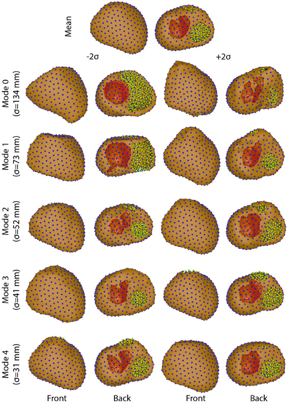 Figure 3.