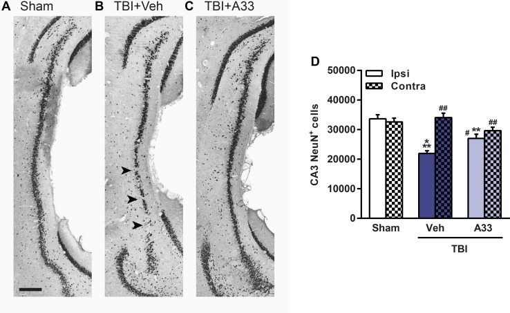 Fig 12