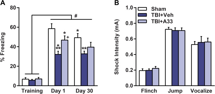 Fig 7