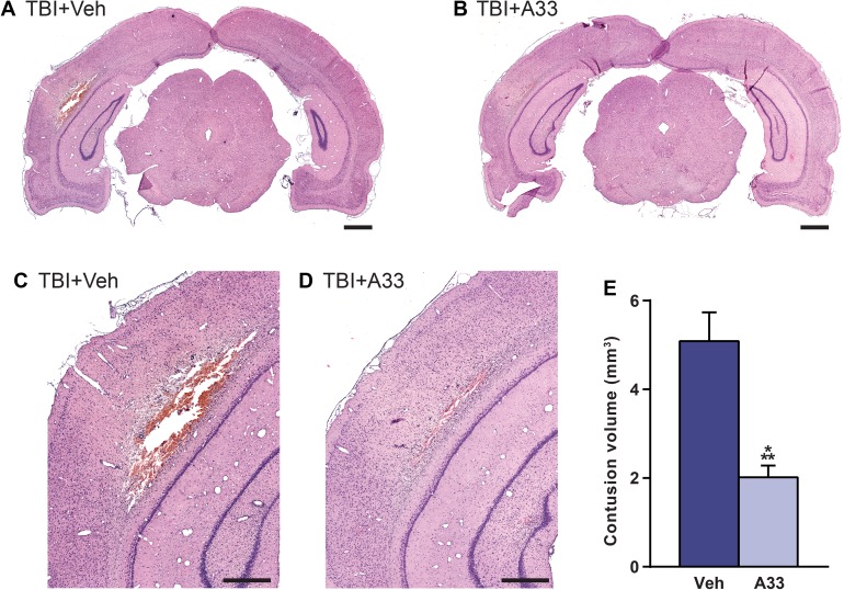 Fig 5