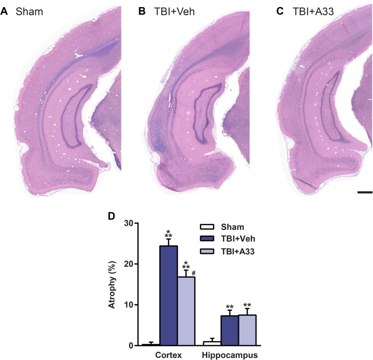 Fig 10