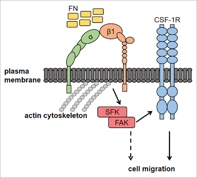 Figure 6.