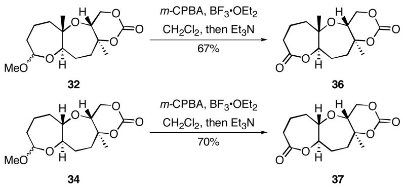 Scheme 5