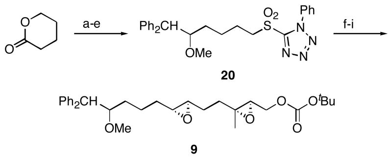 Scheme 4