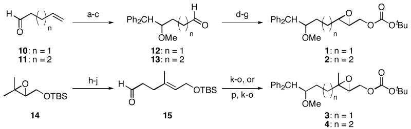 Scheme 2