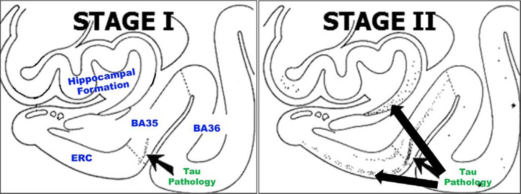 Fig. 13