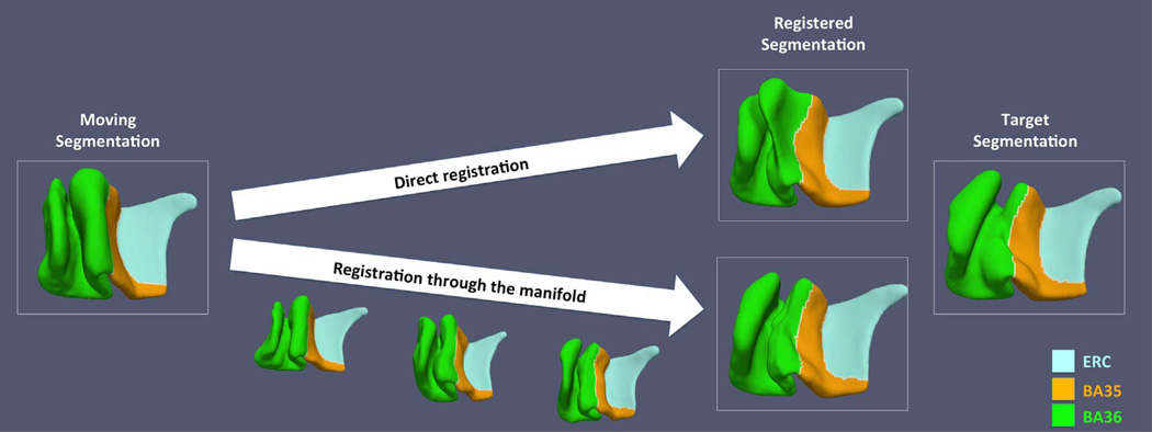 Fig. 9