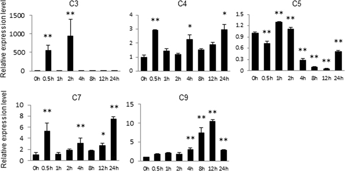 Figure 4