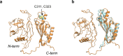 Figure 4—figure supplement 1.