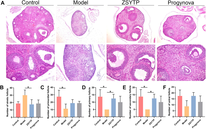 Fig. 7