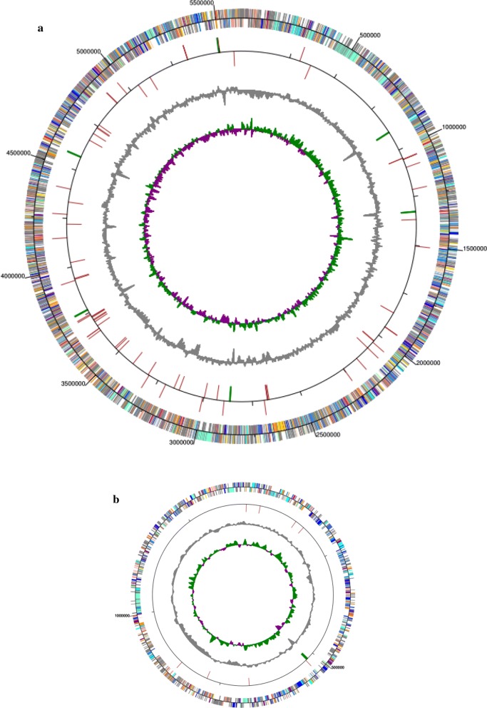 Fig. 1